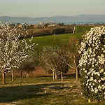 Podere Fontegallo
