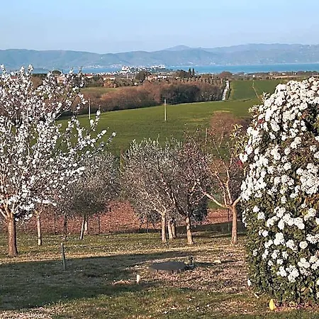 מלון דירות Podere Fontegallo קאסטיגליונה דל לאגו
