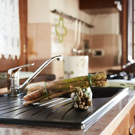 Podere Fontegallo 카스틸리오네델라고