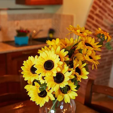 Podere Fontegallo 4*