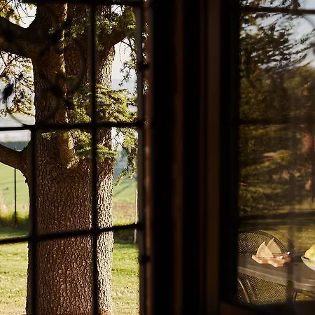 Podere Fontegallo 4* 카스틸리오네델라고