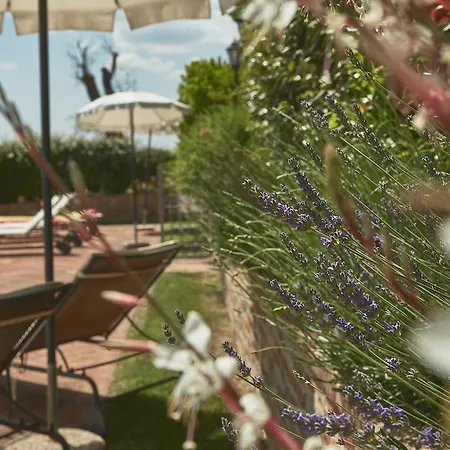 Podere Fontegallo 아파트호텔 카스틸리오네델라고